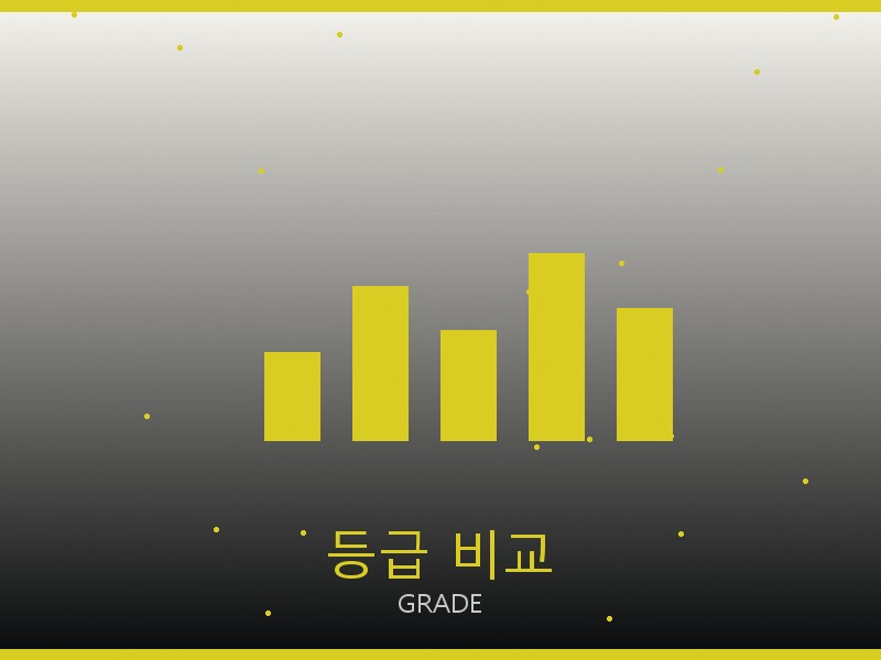 아크테릭스 레플리카 사이트 등급 기준 비교