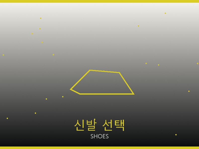 아크테릭스 레플리카 사이트 신발 선택 가이드
